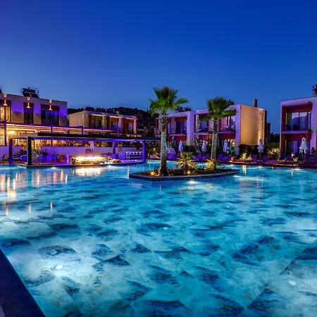 Celeste Bella Luxury &